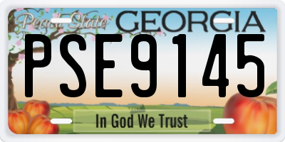 GA license plate PSE9145