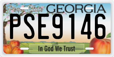 GA license plate PSE9146