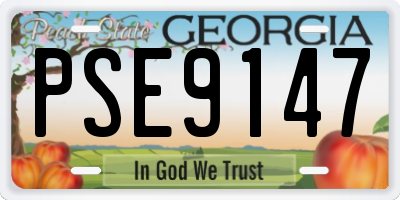 GA license plate PSE9147