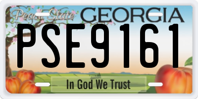 GA license plate PSE9161