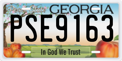 GA license plate PSE9163