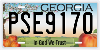 GA license plate PSE9170
