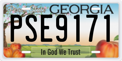GA license plate PSE9171