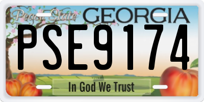 GA license plate PSE9174