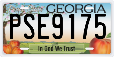 GA license plate PSE9175