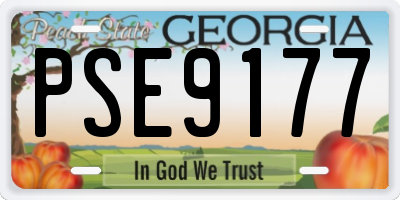 GA license plate PSE9177