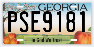 GA license plate PSE9181