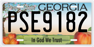 GA license plate PSE9182