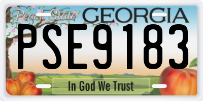 GA license plate PSE9183