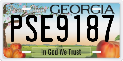 GA license plate PSE9187