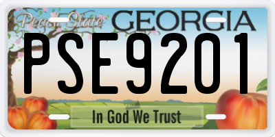 GA license plate PSE9201