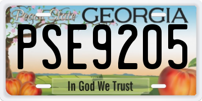 GA license plate PSE9205