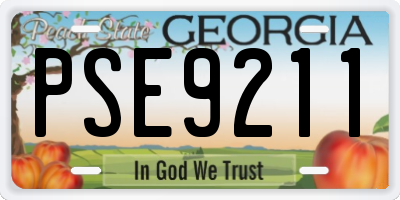 GA license plate PSE9211