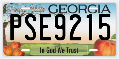 GA license plate PSE9215