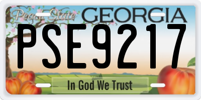 GA license plate PSE9217