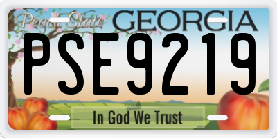 GA license plate PSE9219