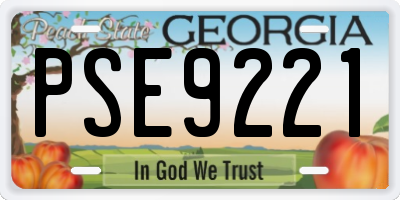 GA license plate PSE9221
