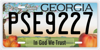 GA license plate PSE9227