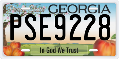 GA license plate PSE9228