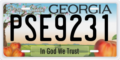 GA license plate PSE9231