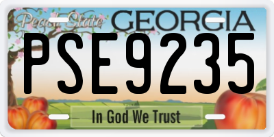 GA license plate PSE9235