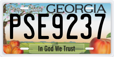 GA license plate PSE9237