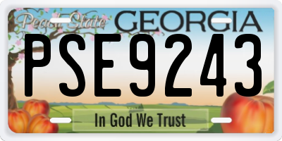 GA license plate PSE9243