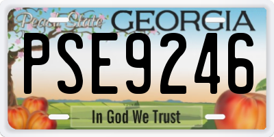GA license plate PSE9246