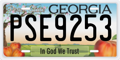 GA license plate PSE9253