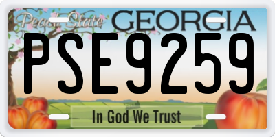 GA license plate PSE9259