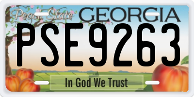 GA license plate PSE9263