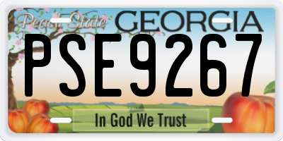 GA license plate PSE9267