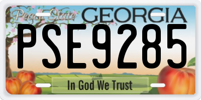 GA license plate PSE9285
