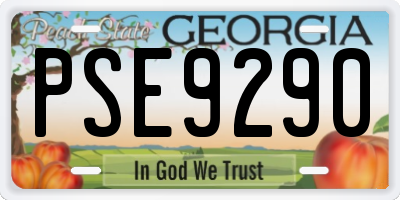 GA license plate PSE9290