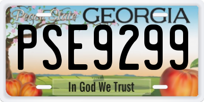 GA license plate PSE9299