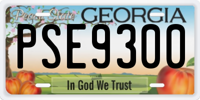 GA license plate PSE9300