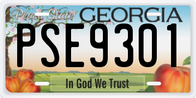 GA license plate PSE9301