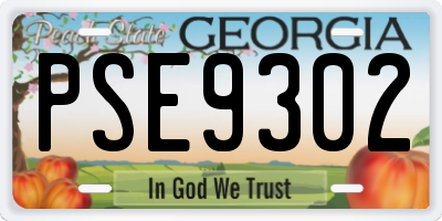 GA license plate PSE9302