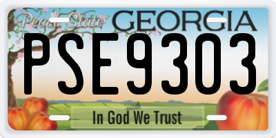 GA license plate PSE9303