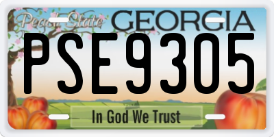 GA license plate PSE9305