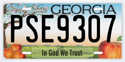 GA license plate PSE9307