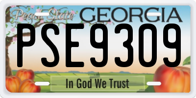 GA license plate PSE9309