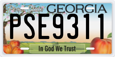 GA license plate PSE9311