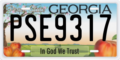 GA license plate PSE9317