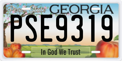 GA license plate PSE9319