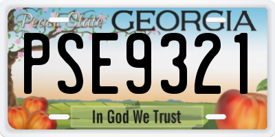 GA license plate PSE9321