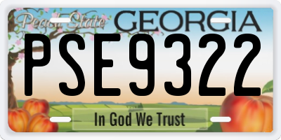 GA license plate PSE9322