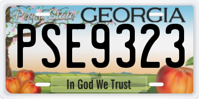 GA license plate PSE9323