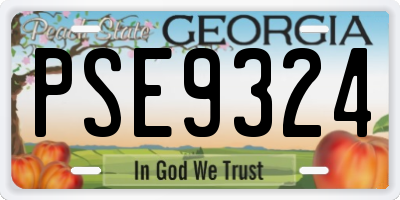 GA license plate PSE9324