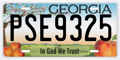 GA license plate PSE9325